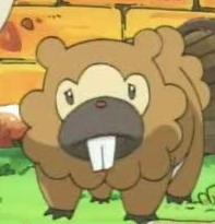Bidoof
