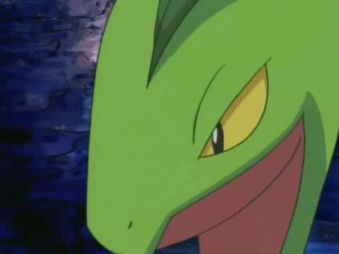 Kina, Grovyle Fangirl Avatar