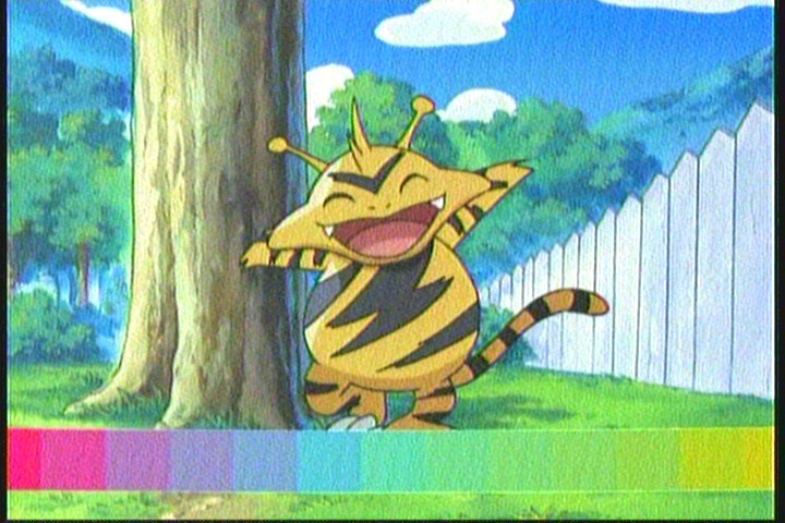 Funny Pokemon TV Show Screen Captures