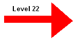 Level 22