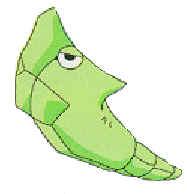 Metapod