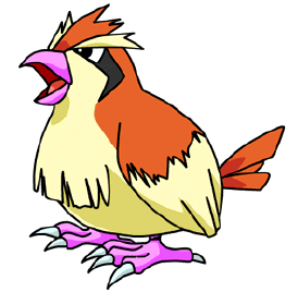 Pidgey