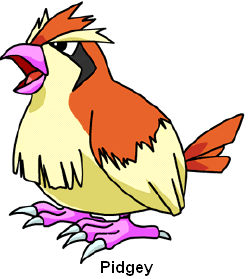 Pidgey