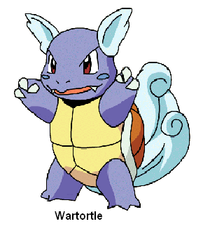 Wartortle